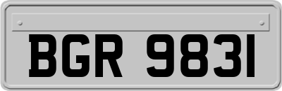BGR9831