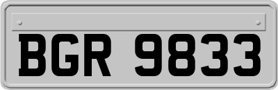BGR9833