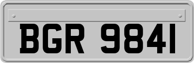 BGR9841
