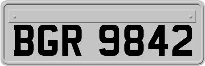 BGR9842