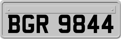 BGR9844