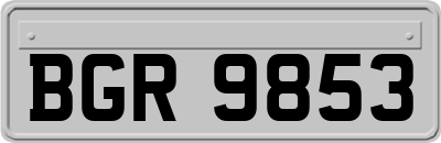 BGR9853