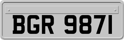 BGR9871