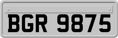 BGR9875