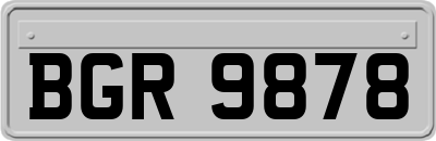BGR9878