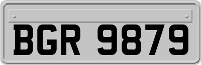 BGR9879