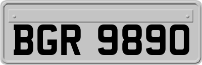 BGR9890