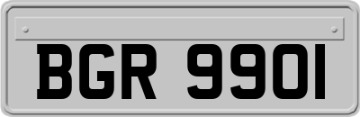 BGR9901