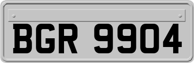 BGR9904