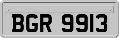 BGR9913