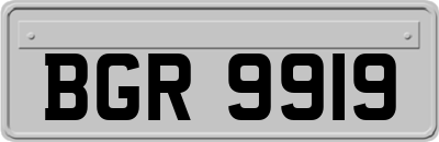BGR9919