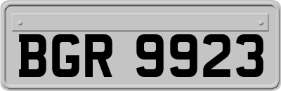 BGR9923