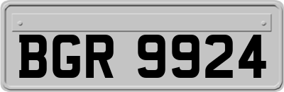 BGR9924