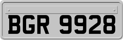 BGR9928