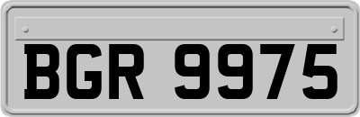 BGR9975