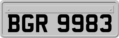 BGR9983