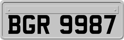 BGR9987