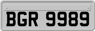 BGR9989