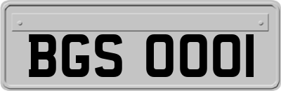 BGS0001