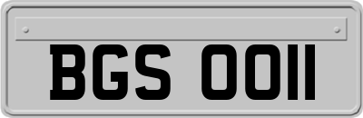 BGS0011