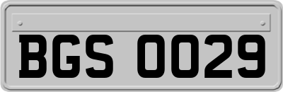 BGS0029
