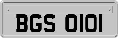 BGS0101