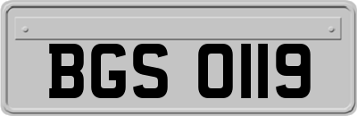 BGS0119
