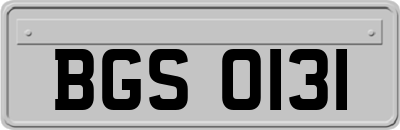 BGS0131
