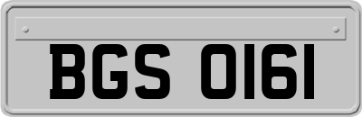 BGS0161