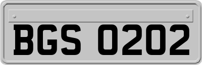 BGS0202
