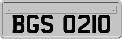 BGS0210