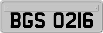 BGS0216