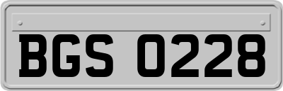 BGS0228