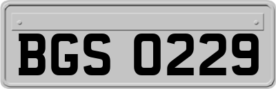 BGS0229