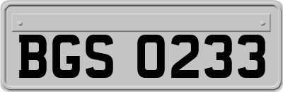 BGS0233