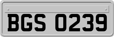 BGS0239