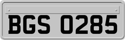 BGS0285