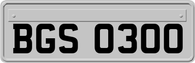 BGS0300