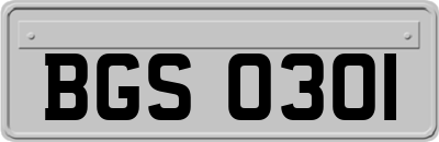 BGS0301