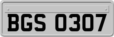 BGS0307