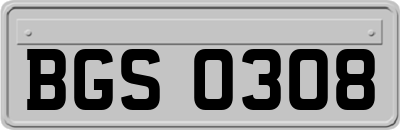 BGS0308
