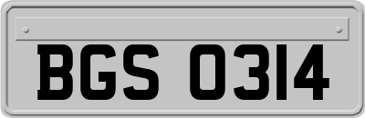 BGS0314