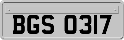 BGS0317