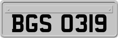BGS0319