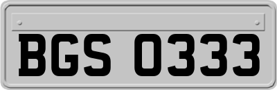 BGS0333