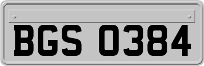 BGS0384