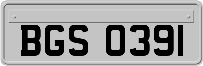 BGS0391