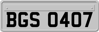 BGS0407