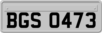 BGS0473