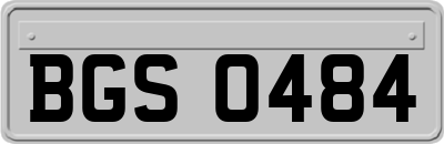 BGS0484